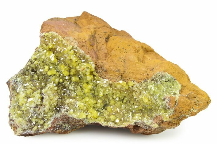 Lustrous Yellow Pyromorphite Crystal Cluster - DR Congo #322648
